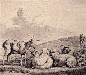 Image description is not available for 1986.011